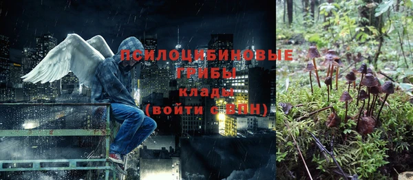 apvp Абинск