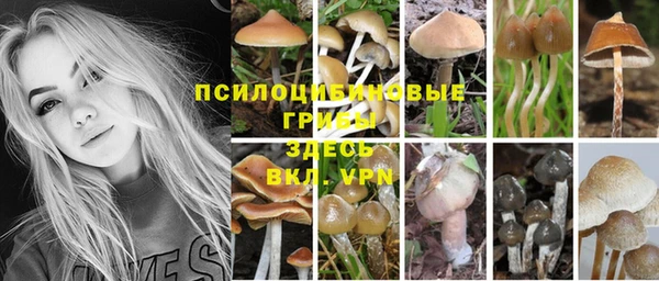apvp Абинск