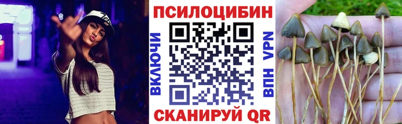 Псилоцибиновые грибы ЛСД Правдинск