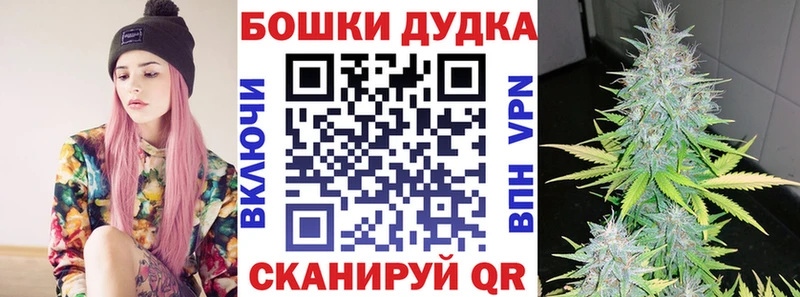 Бошки марихуана THC 21%  Правдинск 